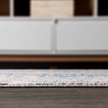 Manisa Vintage Medallion Area Rug